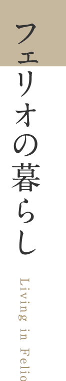 フェリオの暮らし